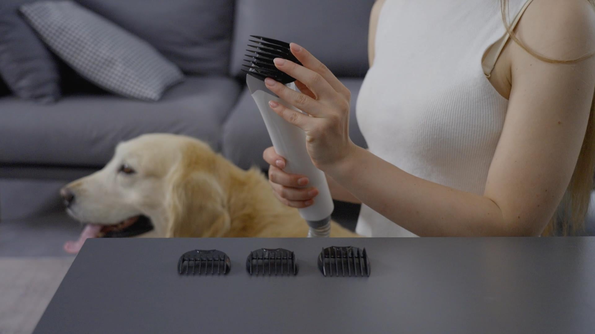 What to do if my dog/cat is afraid of the vacuum cleaner?