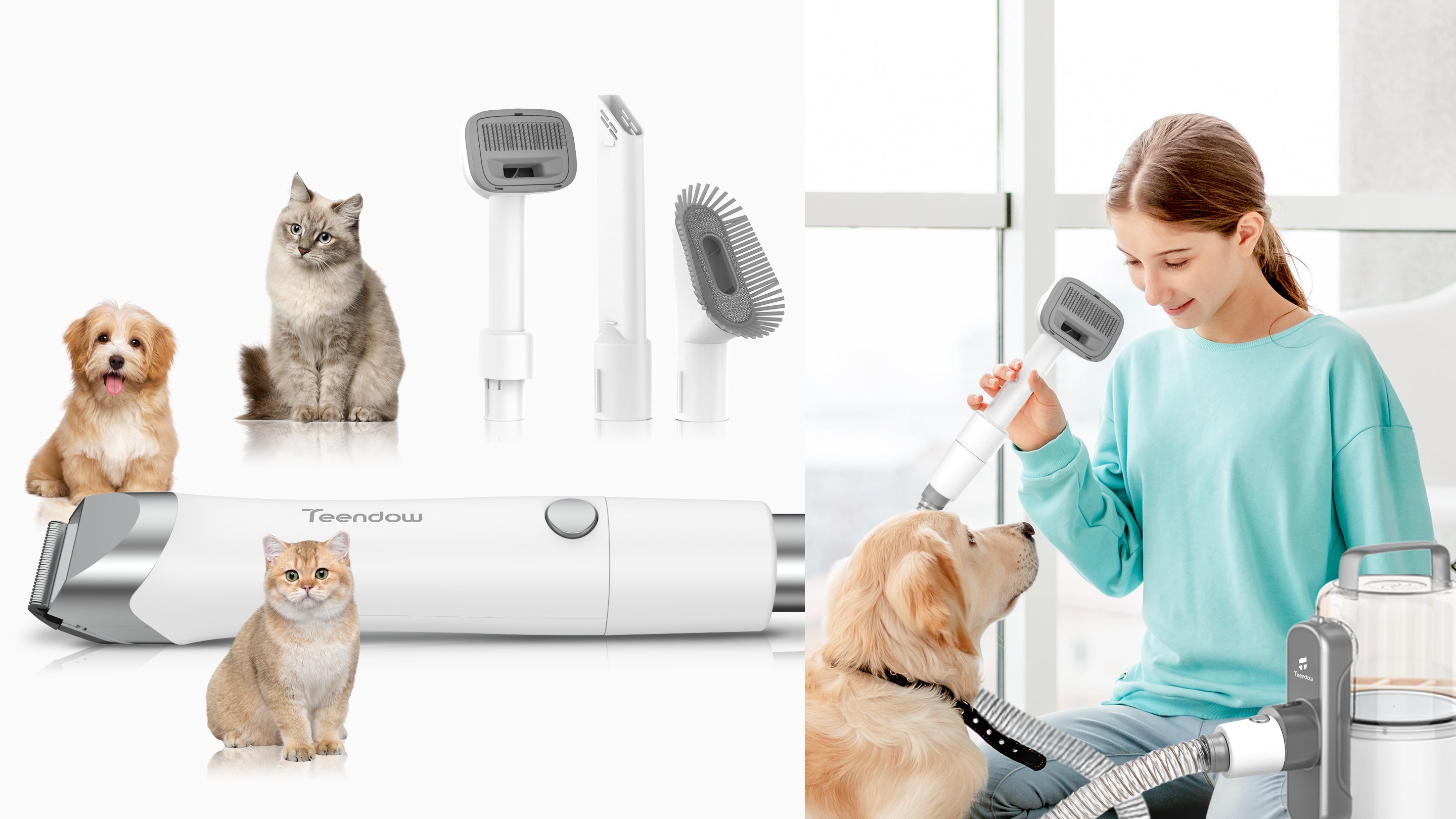 Teendow's first Pet Vacuum revealed: the teendow V10