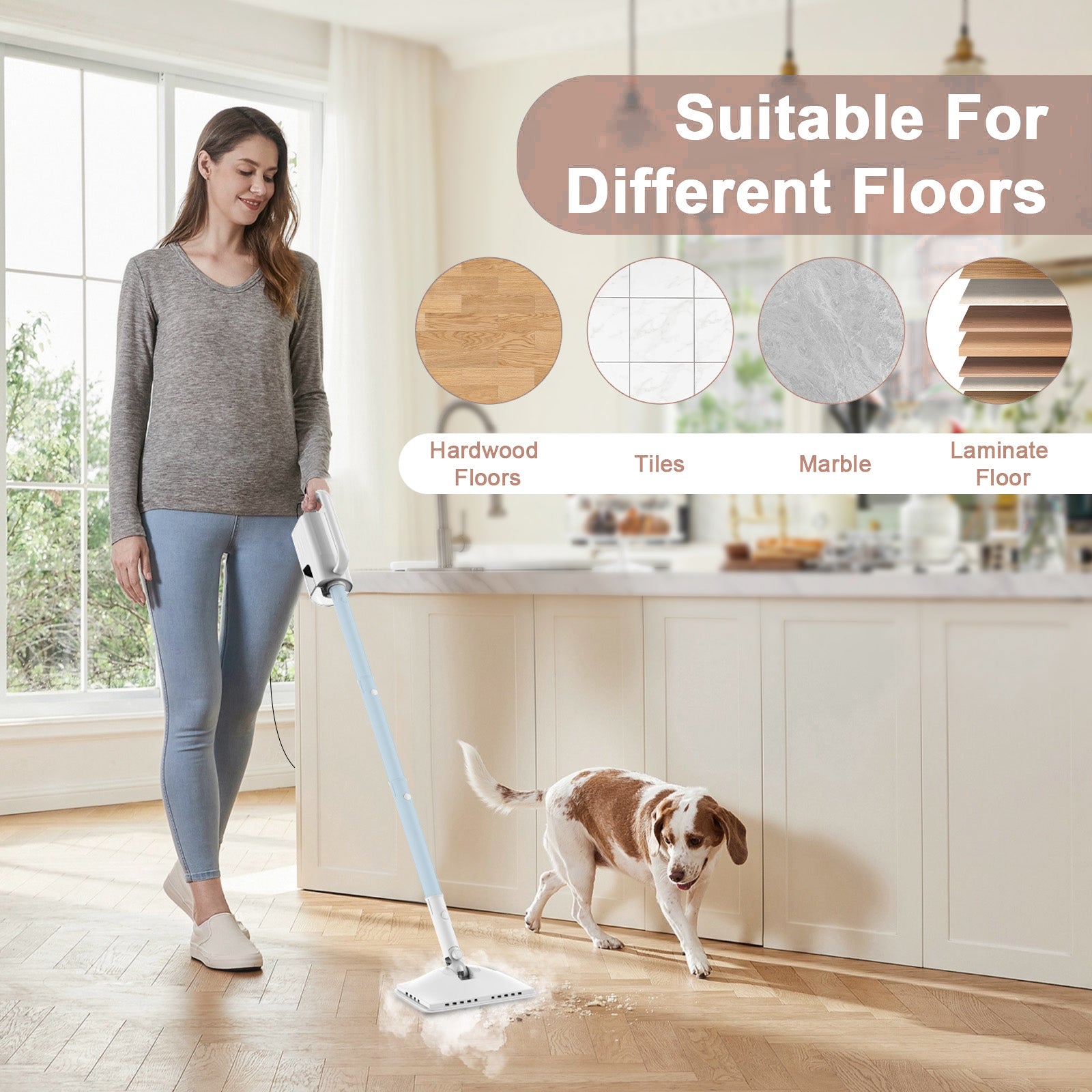 Teendow SC05 6-in-1 Steam Mop for Floor Cleaning