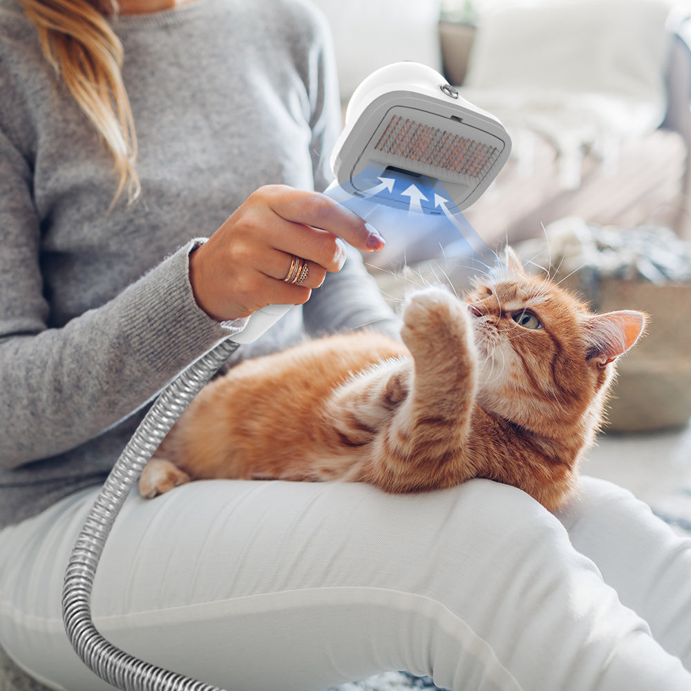 Teendow V10 Pet Grooming Vacuum Kit