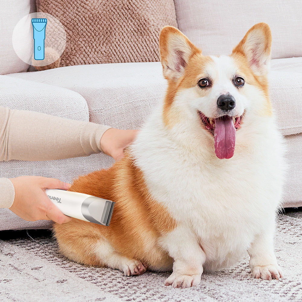Teendow V10 Pet Grooming Vacuum Kit