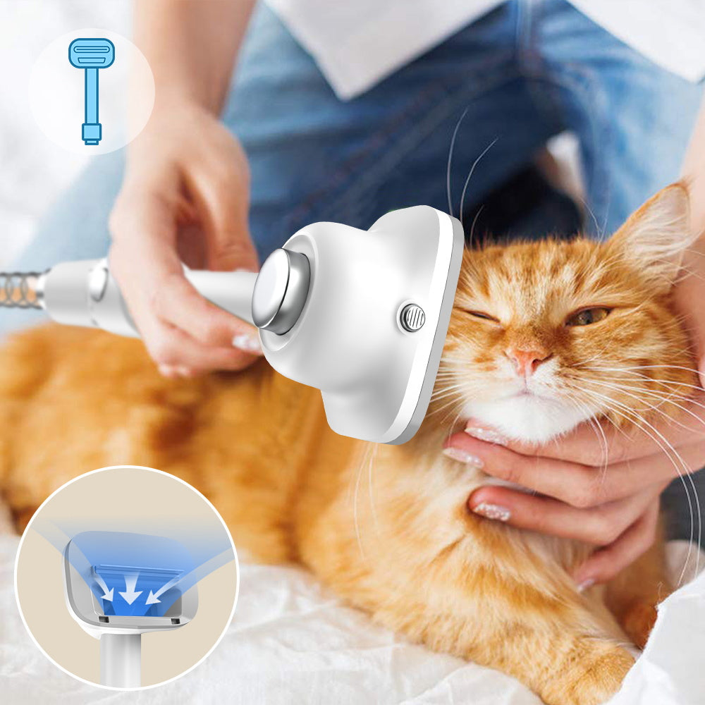Teendow V10 Pet Grooming Vacuum Kit